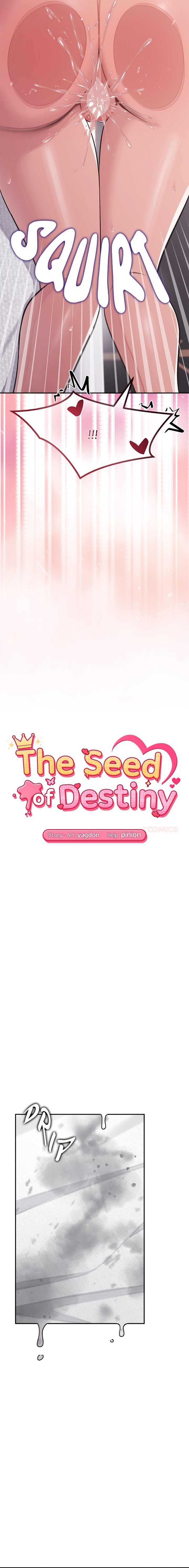The Seed of Destiny Chapter 16 - Page 3